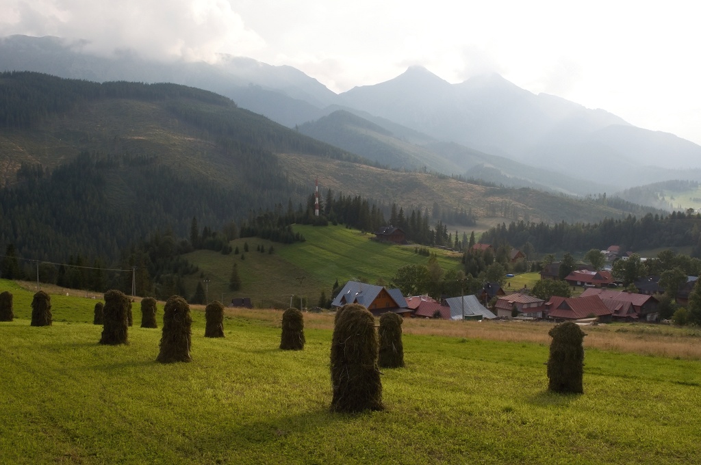 DSC_0024.jpg