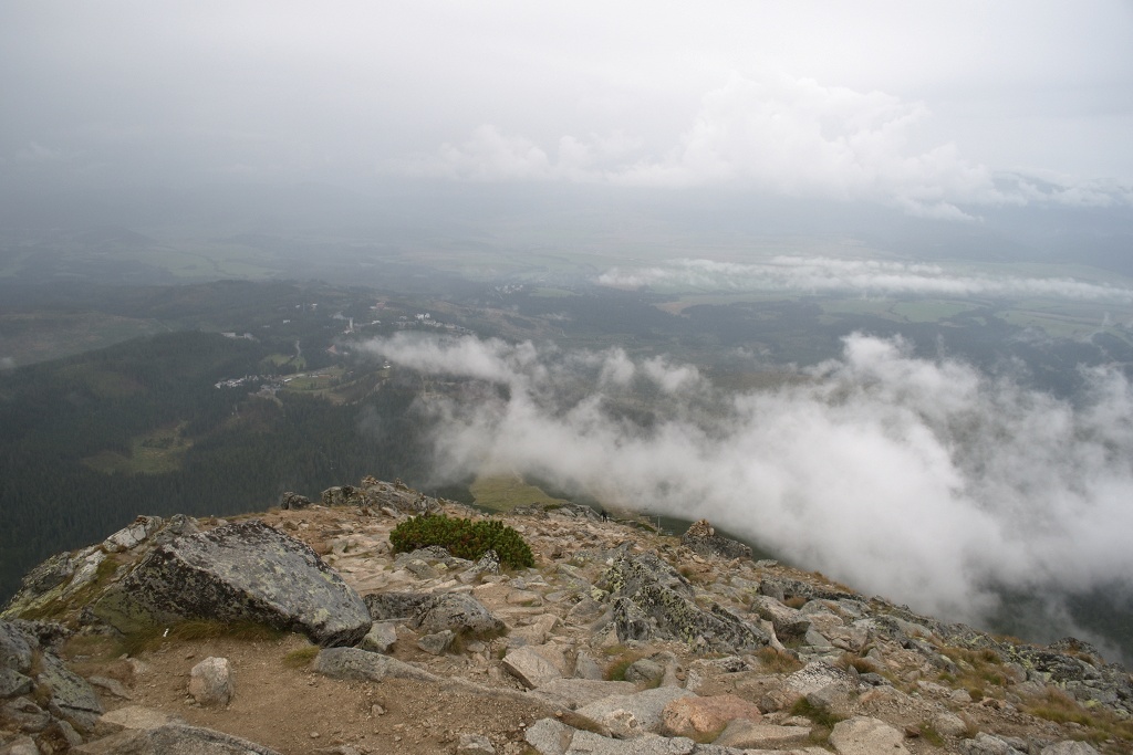 DSC_0063.jpg