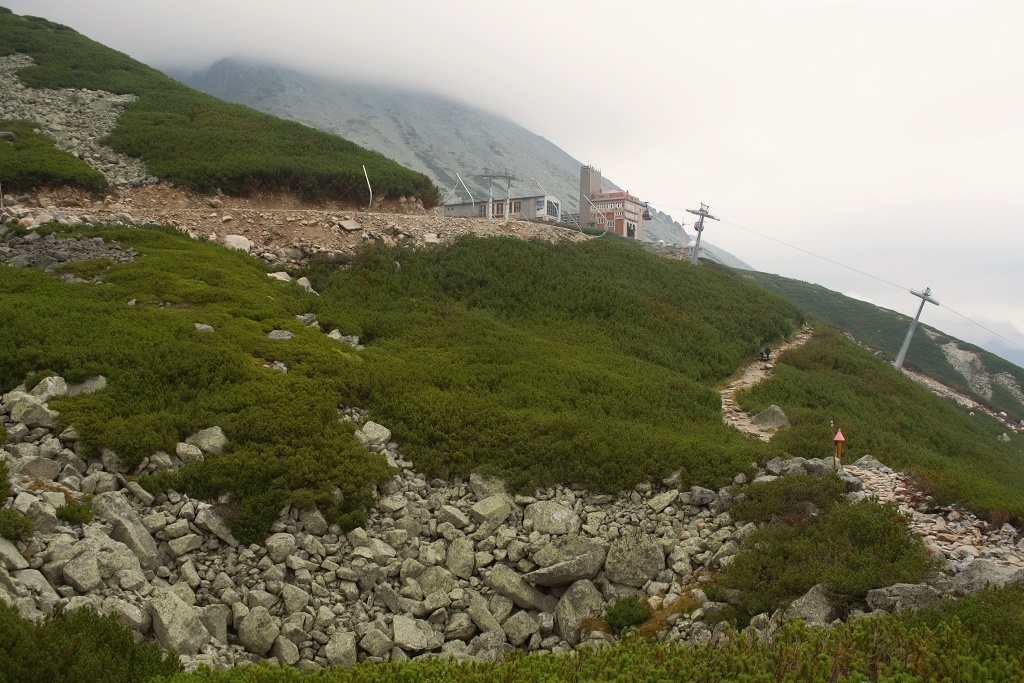 DSC_0190.jpg