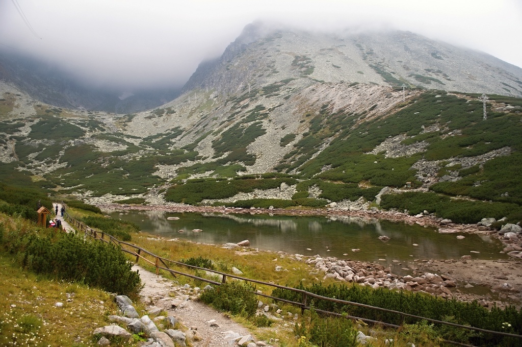 DSC_0198.jpg