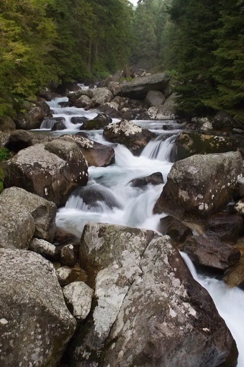 DSC_0235.jpg