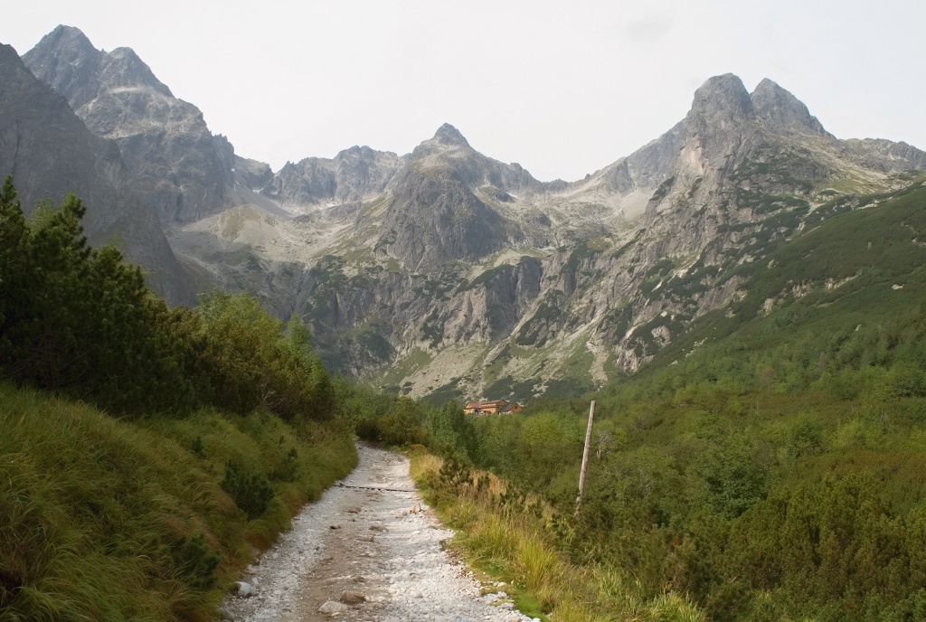 DSC_0251.jpg