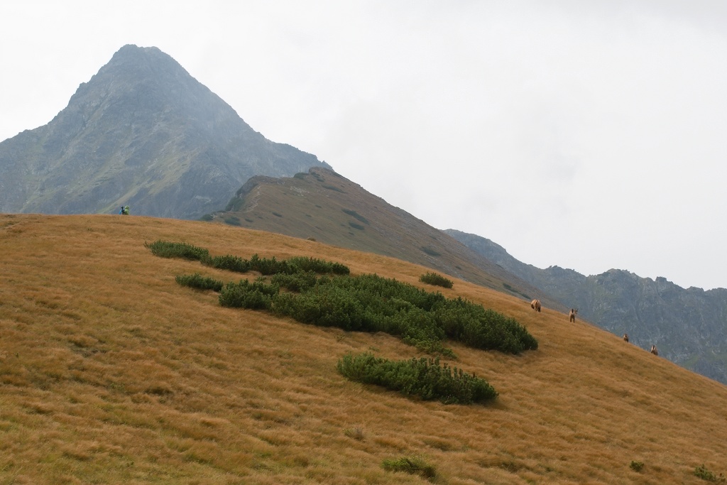 DSC_0394.jpg
