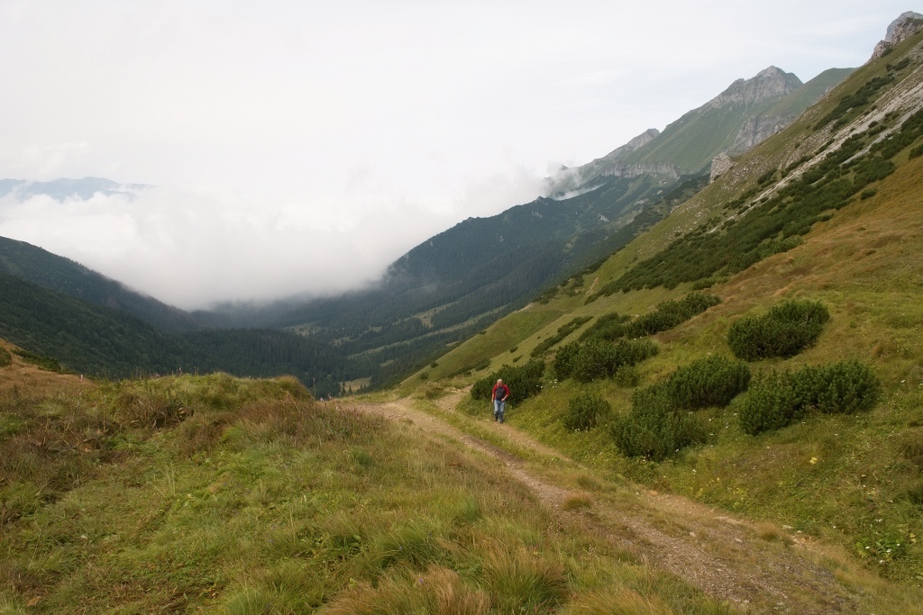 DSC_0396.jpg