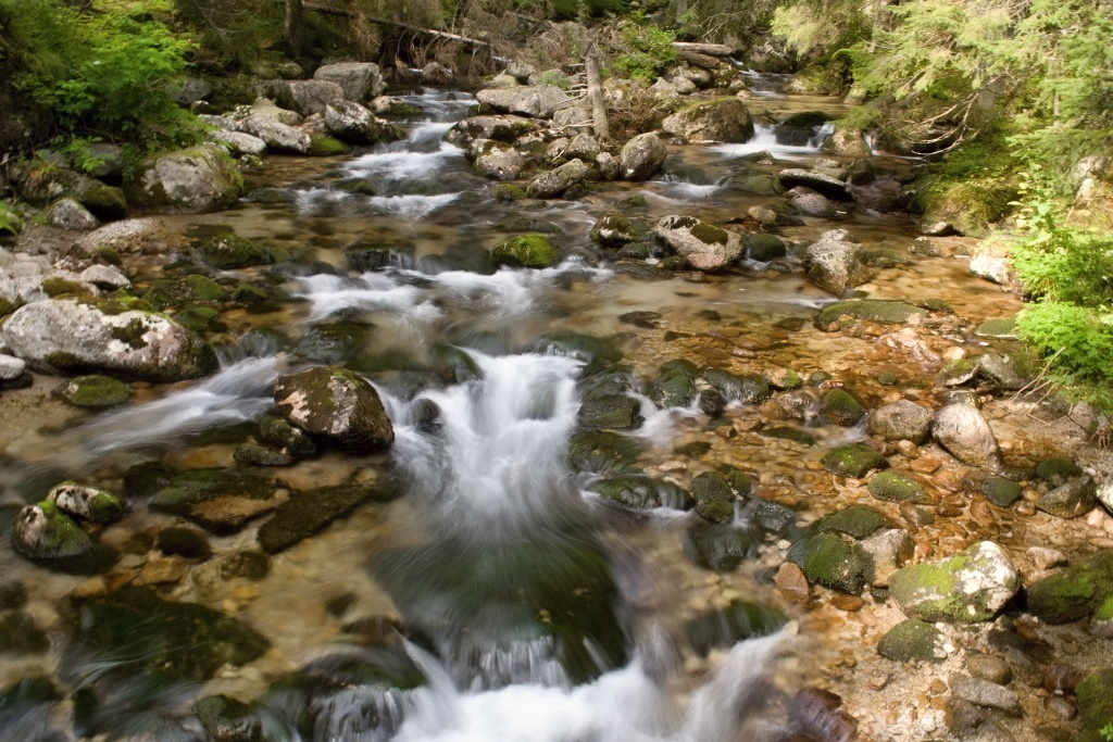 DSC_0429.jpg