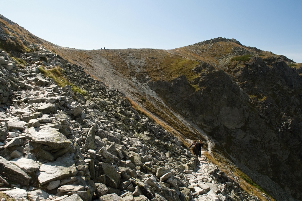DSC_0485.jpg