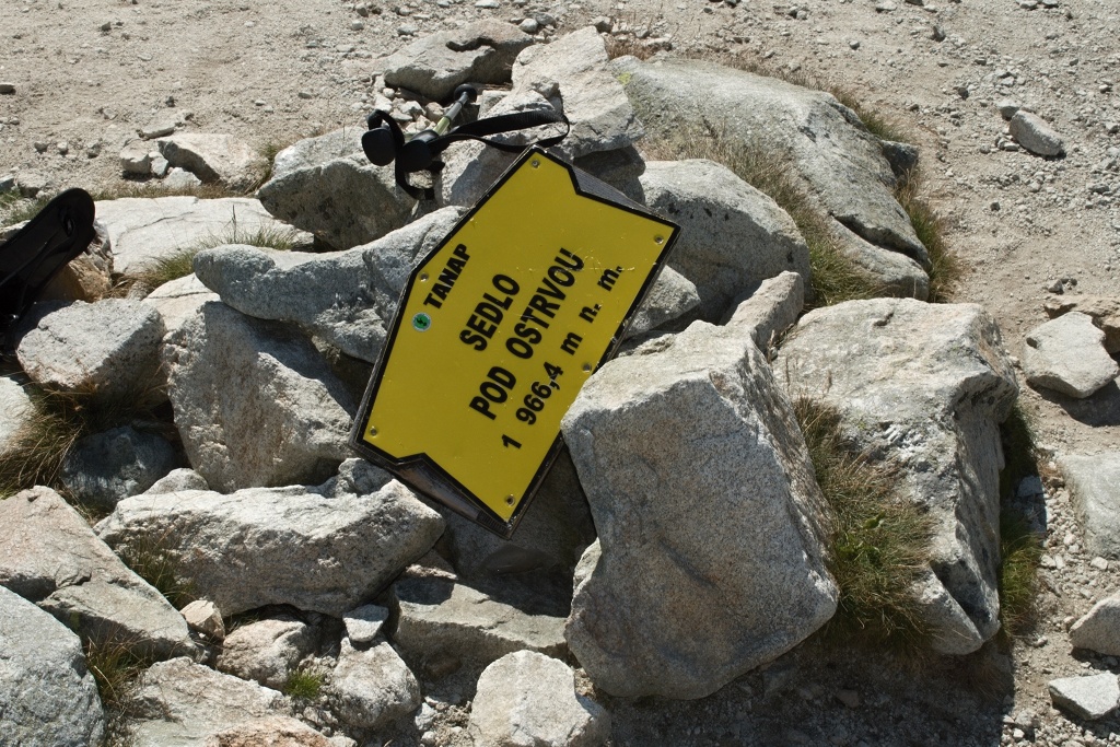 DSC_0504.jpg