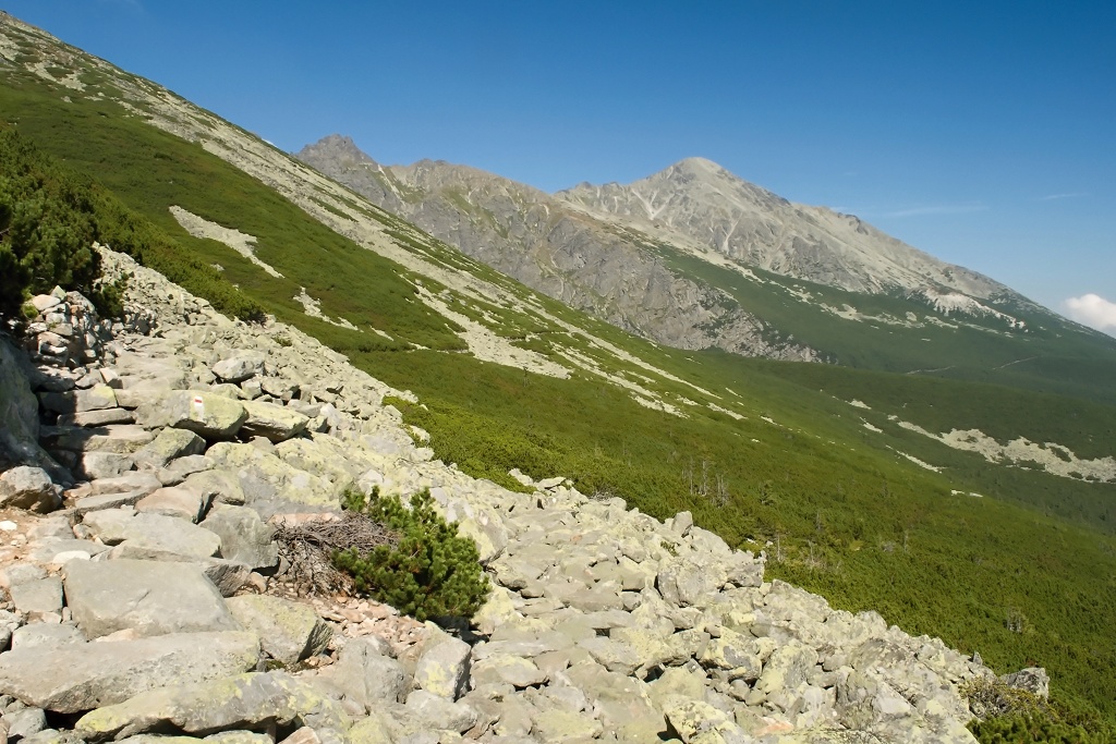 DSC_0605.jpg
