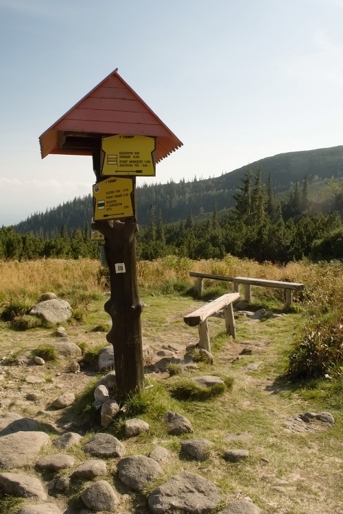 DSC_0633.jpg